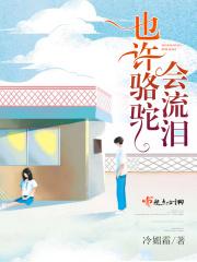 也许骆驼会流泪 也许骆驼会流泪