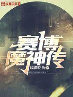 赛博魔神传 赛博魔神传