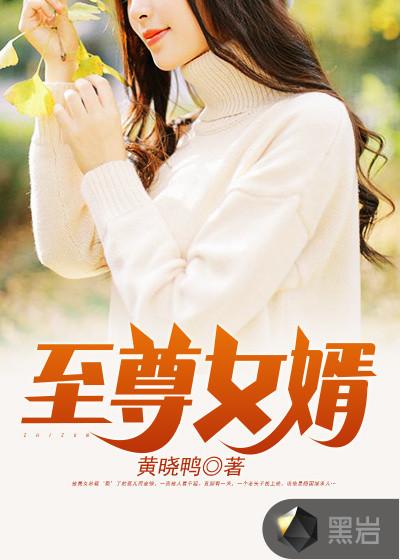 至尊女婿 至尊女婿