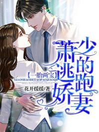 一胎两宝:萧少的逃跑娇妻 一胎两宝:萧少的逃跑娇妻