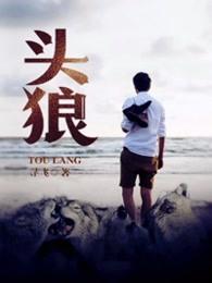 头狼 头狼