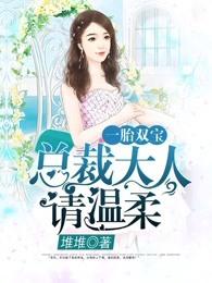 一胎双宝:总裁大人请温柔 一胎双宝:总裁大人请温柔