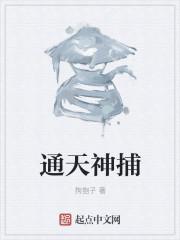 通天神捕 通天神捕