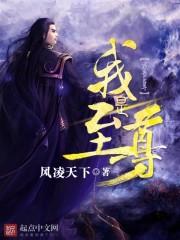 我是至尊 我是至尊
