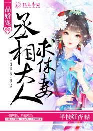 一品娇宠,丞相大人求休妻 一品娇宠,丞相大人求休妻
