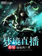 梦境直播系统 梦境直播系统