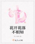 花开花落不相知 花开花落不相知