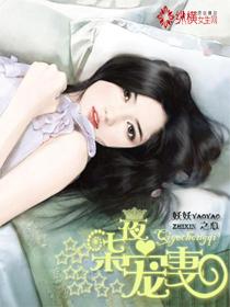 七夜宠妻 七夜宠妻