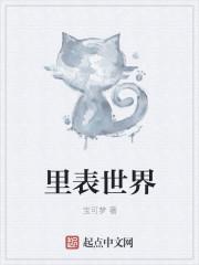 里表世界 里表世界