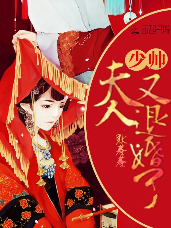 少帅,夫人又退婚了! 少帅,夫人又退婚了!