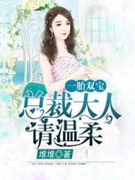 一胎双宝:总裁大人夜夜欢 一胎双宝:总裁大人夜夜欢