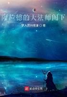 阿拉德的大法师阁下 阿拉德的大法师阁下