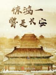 惊鸿一瞥是长安 惊鸿一瞥是长安